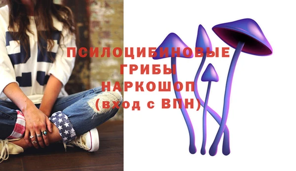 мет Алексин