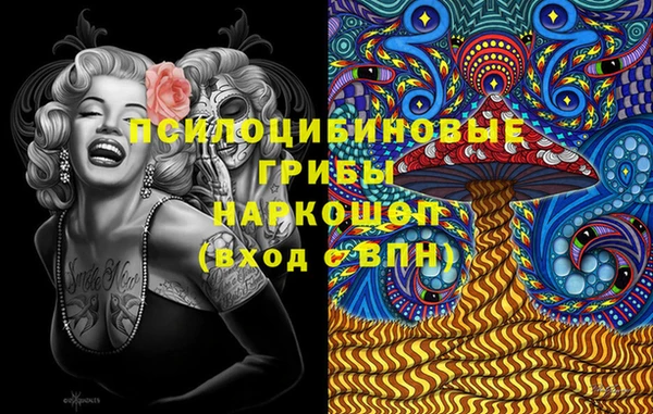 эйфоретик Алзамай